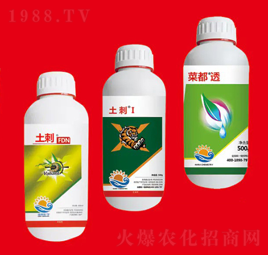 �����M�Ϣ� ��Ƚ���W