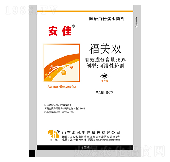 50%�����p ���� ��Ӎ����