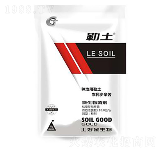 50g΢������� ���� ���ý�