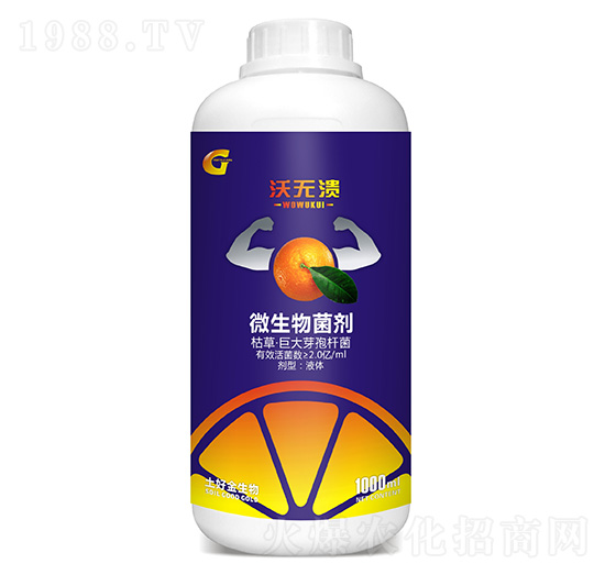 ΢������� �֟o�� ���ý�