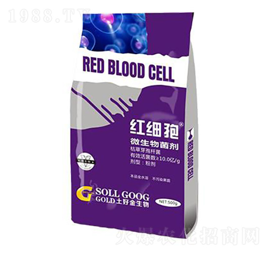 500g΢������� �t��(x��)�� ���ý�