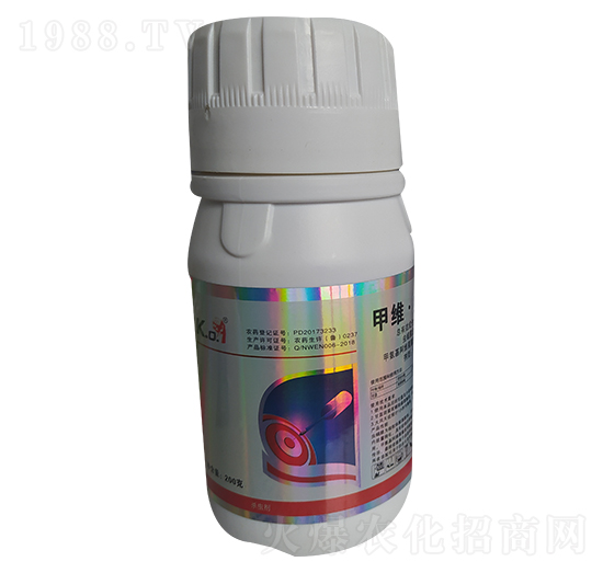 12%�׾S���x���� ��̩����