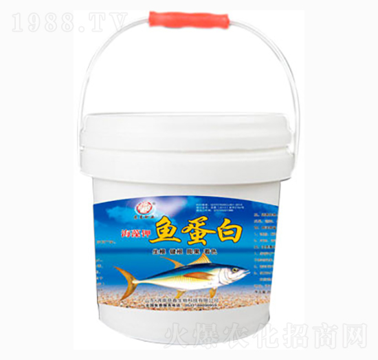 ������~����-�ȴ�