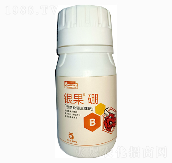 銀果硼-鼎微生物