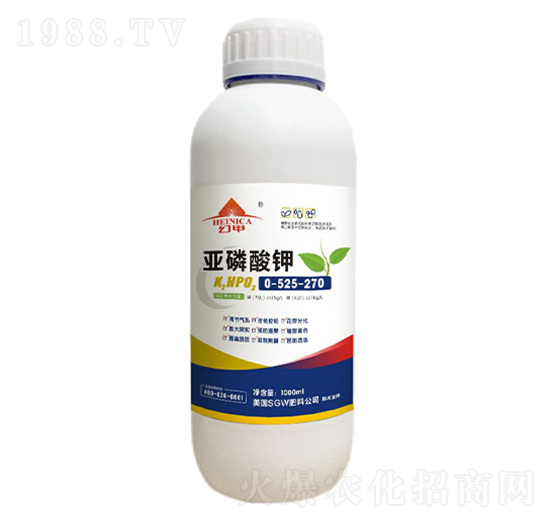 �������0-525-270-�V���ƈD