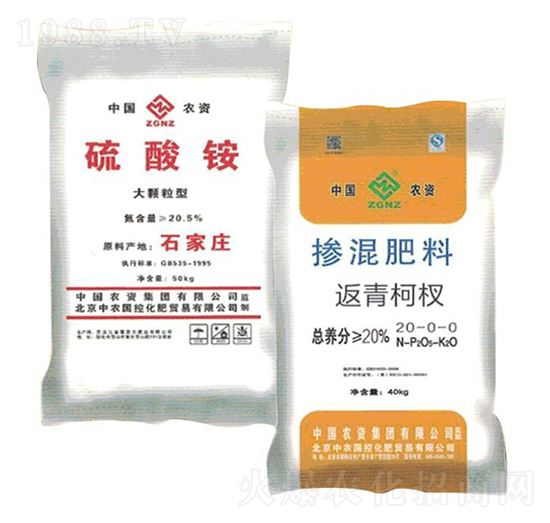 �����@+�����-��˼���ʘI(y��)