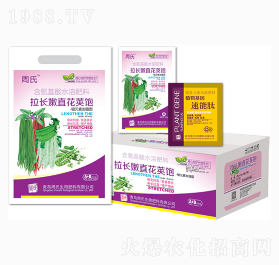 拉長嫩直花莢飽-周氏農(nóng)化