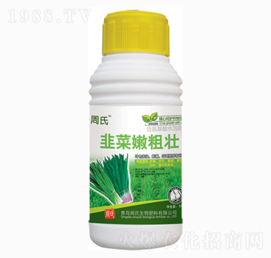韭菜嫩粗壯-周氏農(nóng)化