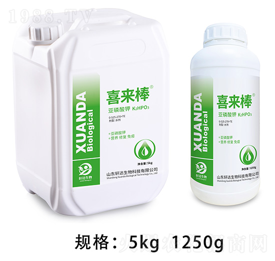 ������� ϲ���� ܎�_(d��)����