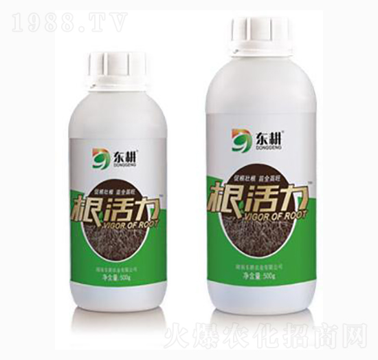 ������-�|���r(n��ng)�I(y��)