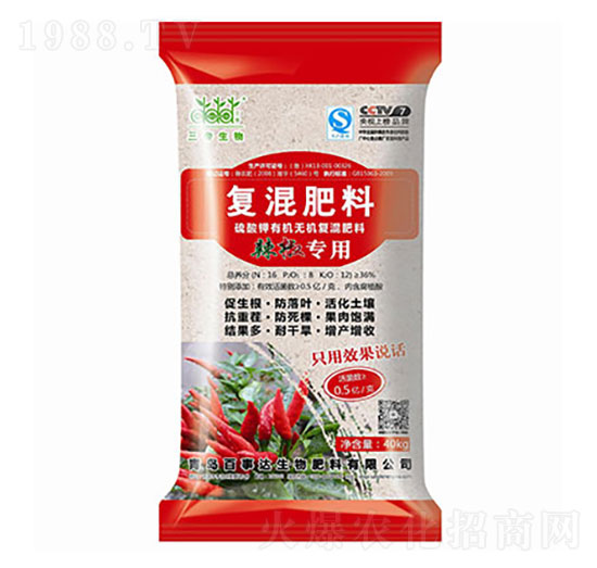 �������÷� ���ۏ�(f��)����� �����_(d��)