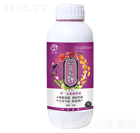 ��һԪ�����w��-�Ǵ��ЙC�-��ʥ�r�I(y��)