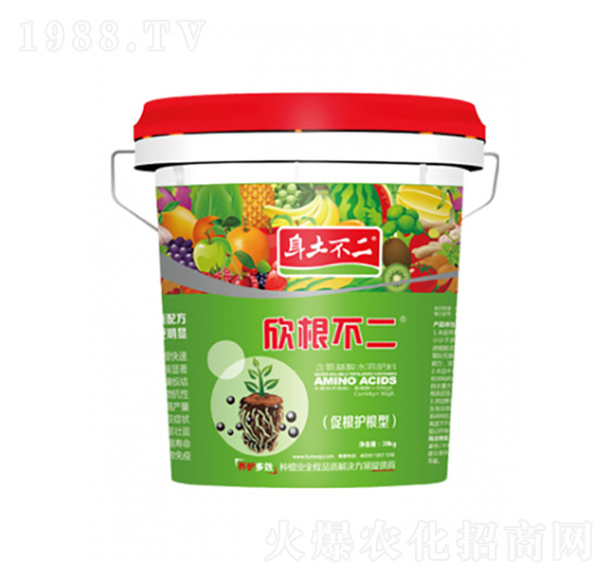 �������� �������� ��ľ������