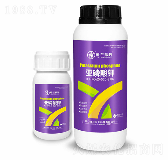 �������-�~�m�߿�