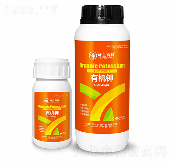 �ЙC�-�~�m�߿�