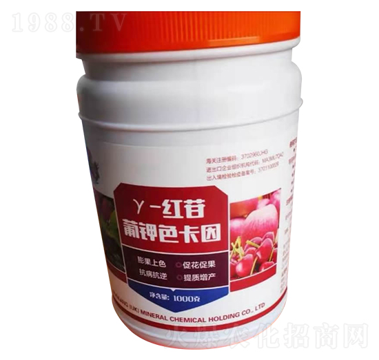 ���ɫ����-���u�Z��