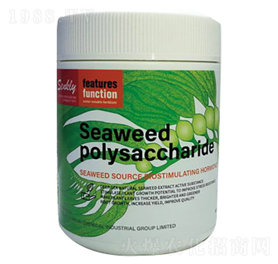 ������ǣ��M(j��n)�ڣ�-���a(ch��n)��