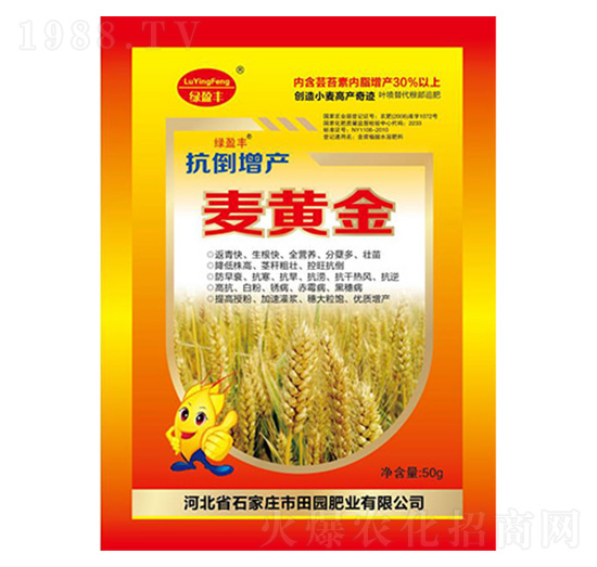 ���S��-��@�ʘI(y��)