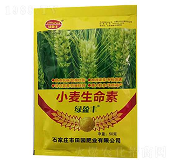 С��������-��@�ʘI(y��)