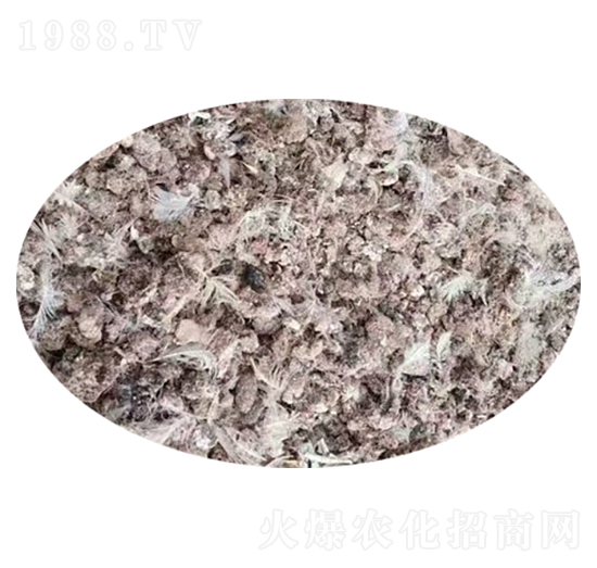 �w���g���S-�f�Z���r�I(y��)