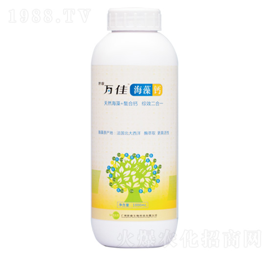 �����}-�f��-�������