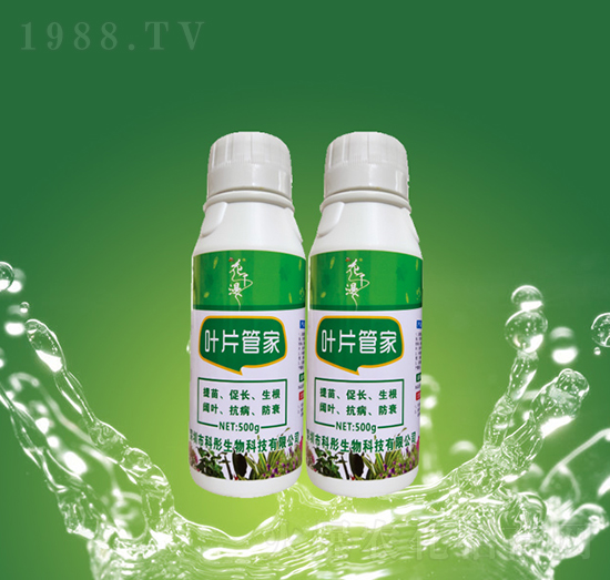 �~Ƭ�ܼ�-��ͮ����