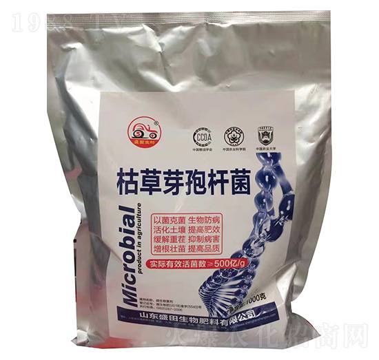 枯草芽孢桿菌-盛田生物