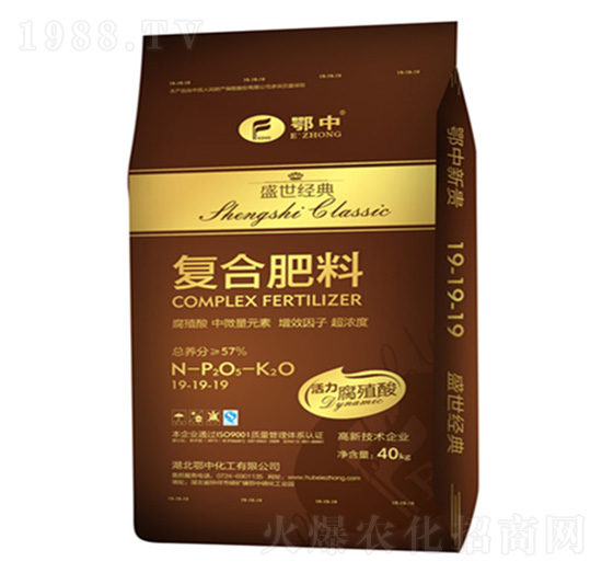 �ͺϷ���19-19-19-ʢ����(j��ng)��-�������B(t��i)