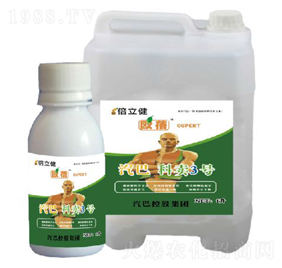 ���u3̖-������-�����r�I(y��)