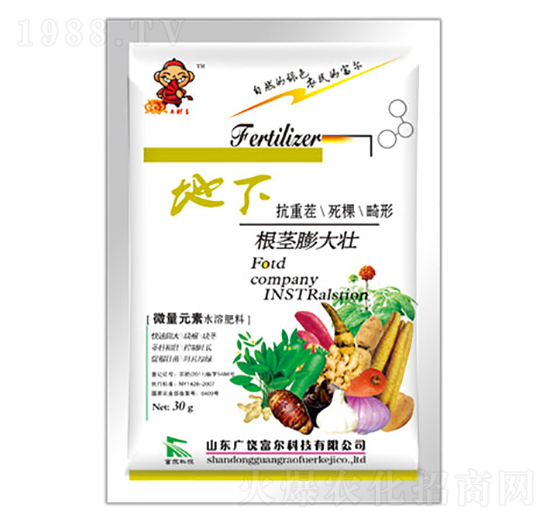 地下根莖膨大壯-富爾科技