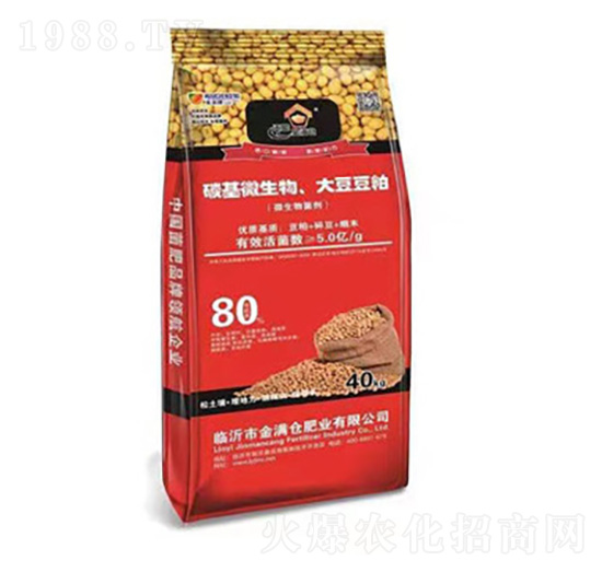 ̼��΢�������󶹶���-��M�}