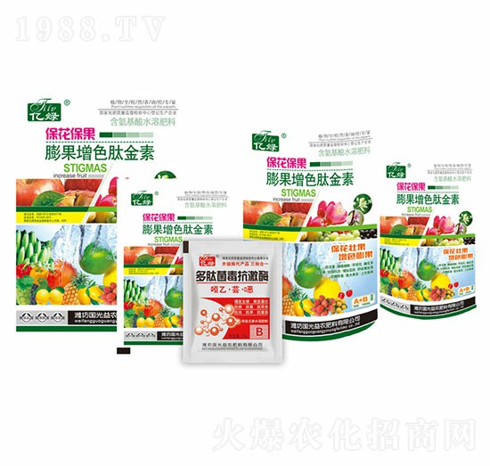 ����������L(zh��ng)��ɫ��-��(gu��)�����r(n��ng)