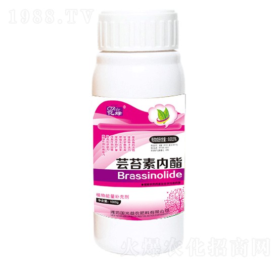 �|̦�؃�(n��i)��-��(gu��)�����r(n��ng)