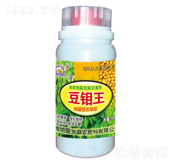 ���f��-��(gu��)�����r(n��ng)