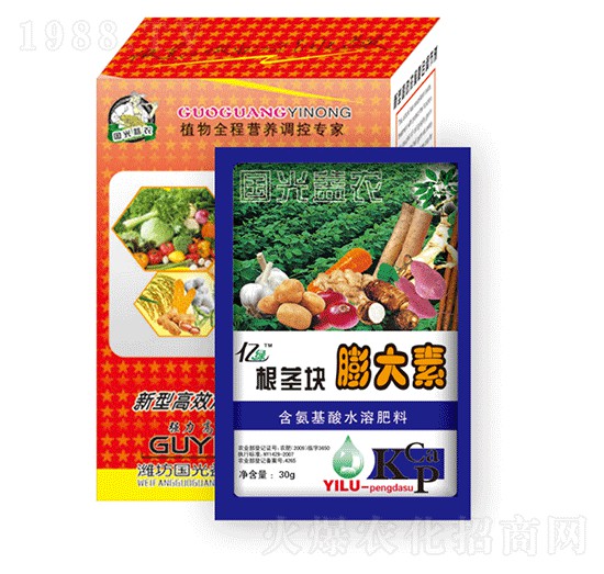 ���o�K�����-��(gu��)�����r(n��ng)