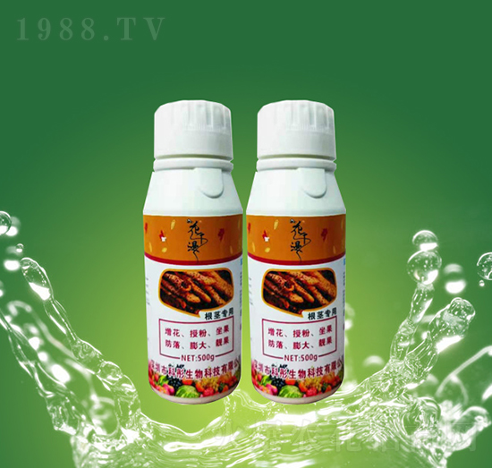 ���o��(zhu��n)��-��ͮ����