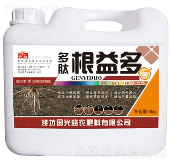 ���ĸ����-�������r(n��ng)