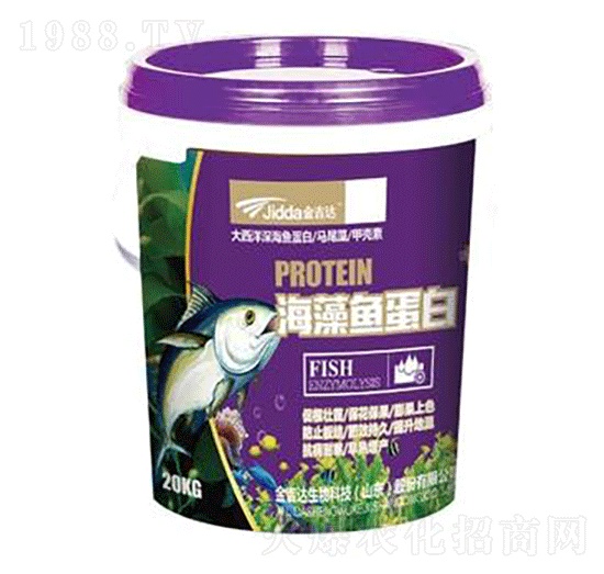 海藻魚蛋白-金吉達