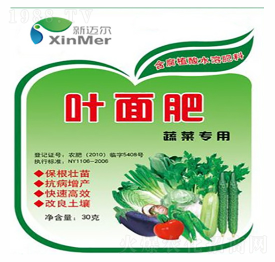 �~�����-���~��