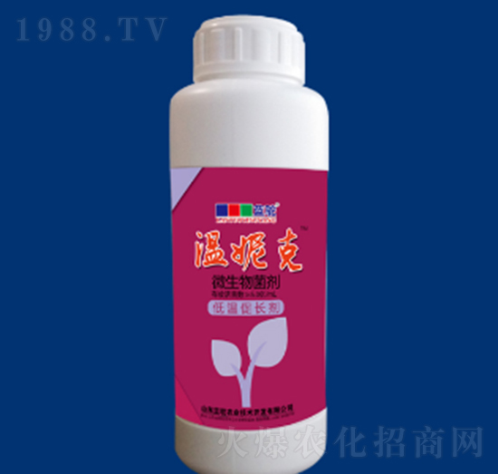 ΢�������-���ݿ�-�{��r(n��ng)�I(y��)