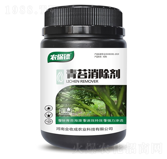 ��̦������-�r���S-���ճ�