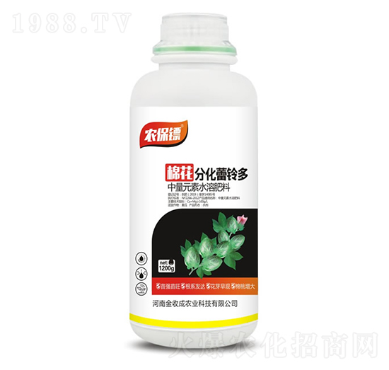 棉花分化蕾鈴多-農保鏢-金收成