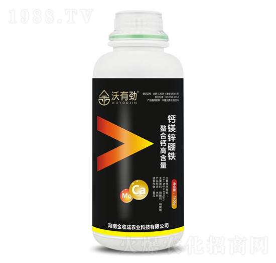 1400g�}�V�\���F-���Є�-���ճ�