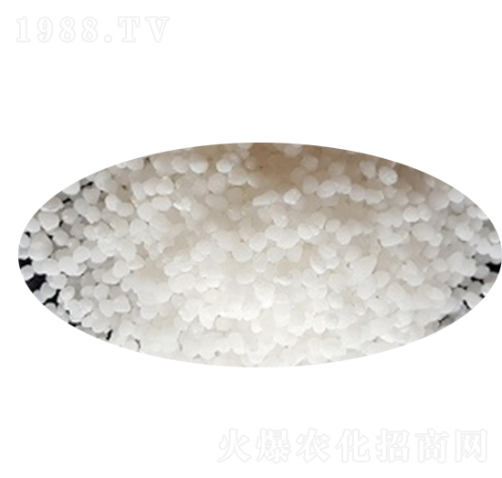 �w�����-��֮���r(n��ng)�I(y��)