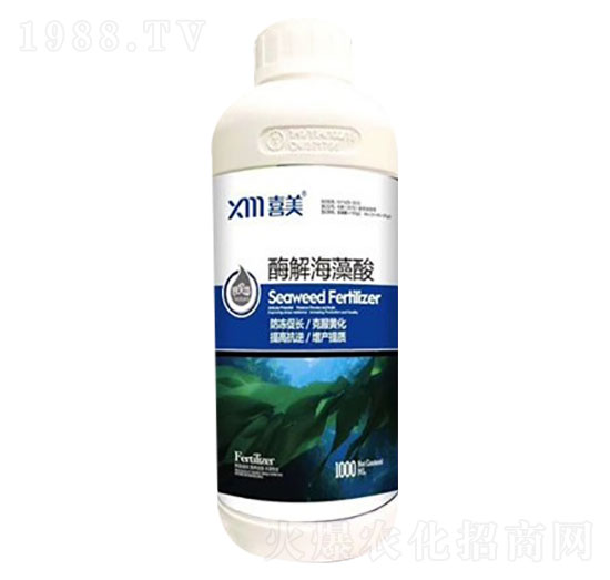 ø�⺣����-ϲ���r(n��ng)�I(y��)