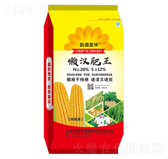 �Нh����-�P��ʥ�A-�P���A