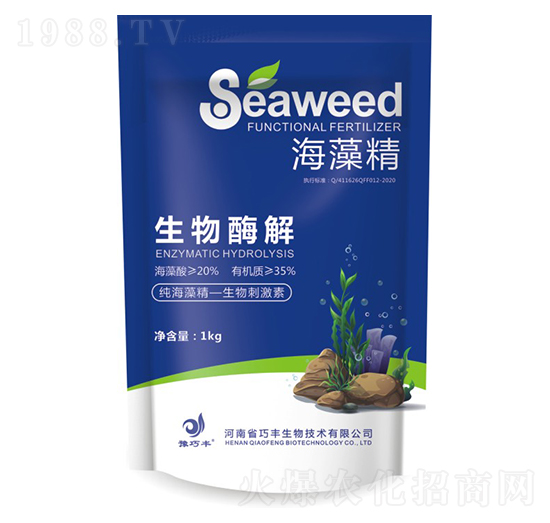 ���徫������ø�⡿-ԥ���S