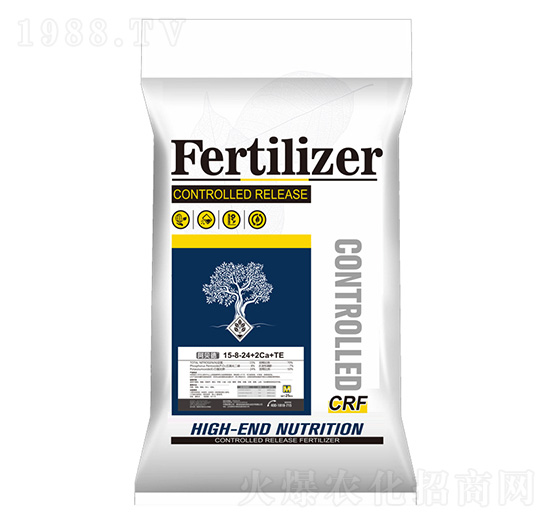 �M�ڵ���p�ط���15-8-24+2Ca+TE-��ؐ��-�Ɲ��r��