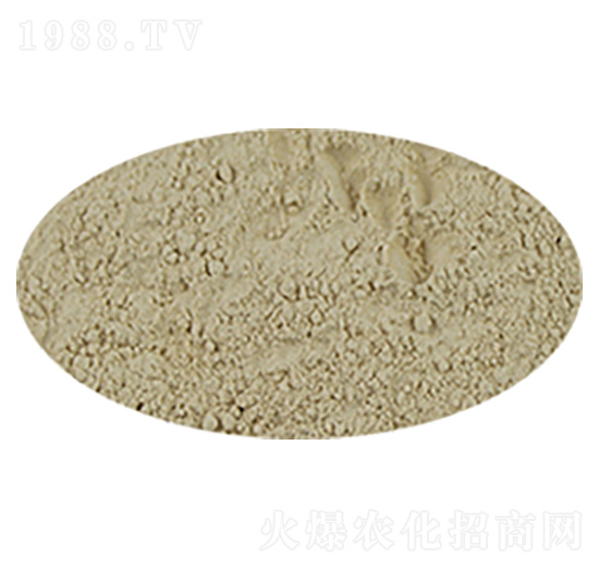 �ݲ�ѿ�ߗU���ۄ�-��������