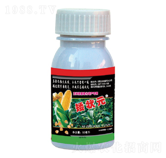 ���׿����������a����-����Ԫ-��������